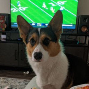 Meet your Posher, Bridget